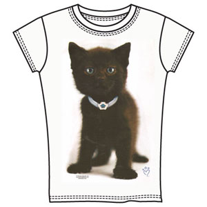 Детская (для девочек) Черный котенок ― Интернет магазин "Прикольные футболки"