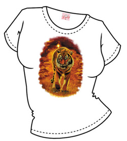 Звездный тигр ― Интернет магазин "Прикольные футболки"